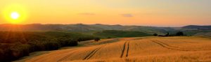 Agenzia immobiliare castelvetro